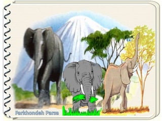 Large pastures f.parsa