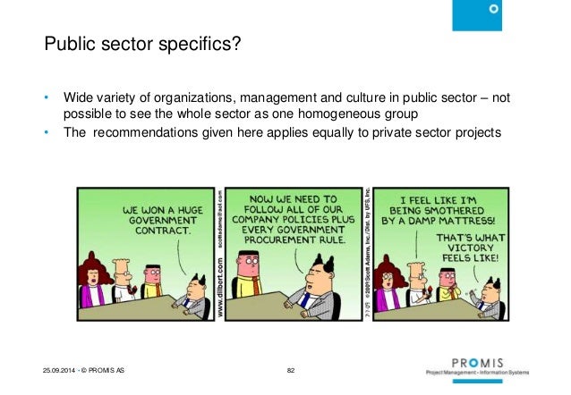 What is a public sector company?