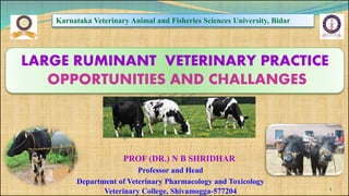 Karnataka Veterinary Animal and Fisheries Sciences University, Bidar
PROF (DR.) N B SHRIDHAR
Professor and Head
Department of Veterinary Pharmacology and Toxicology
Veterinary College, Shivamogga-577204
LARGE RUMINANT VETERINARY PRACTICE
OPPORTUNITIES AND CHALLANGES
1
 