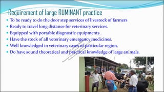 Sample Practical Question On Ruminant LARGE RUMINANT VETERINARY PRACTICE : OPPORTUNITIES AND CHALLANGES | PDF