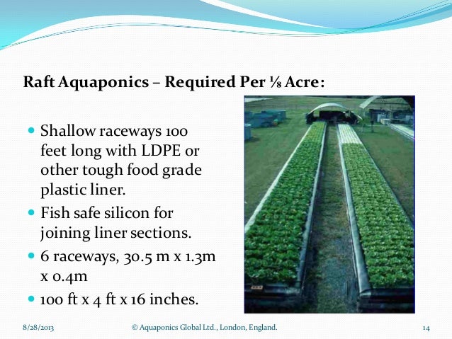 Aquaponic ebook
