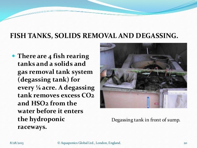 large scale hot climate aquaponic farm requirements