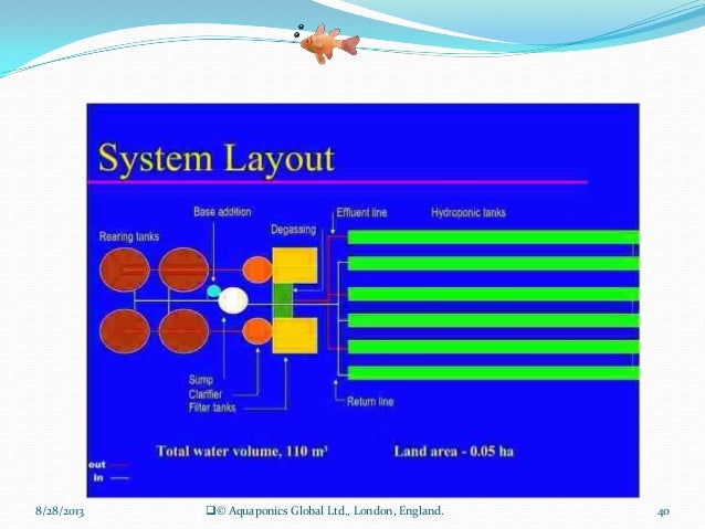 large scale hot climate aquaponic farm requirements