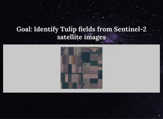 Goal: Identify Tulip ﬁelds from Sentinel-2Goal: Identify Tulip ﬁelds from Sentinel-2
satellite imagessatellite images
3
 