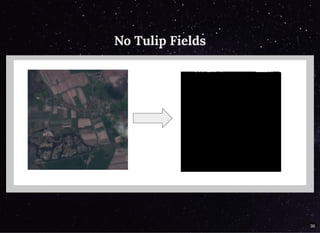 No Tulip FieldsNo Tulip Fields
36
 