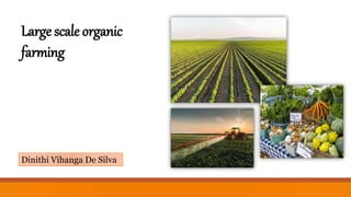 Large scale organic
farming
Dinithi Vihanga De Silva
 
