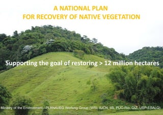 A NATIONAL PLAN
FOR RECOVERY OF NATIVE VEGETATION
Ministry of the Environment / PLANAVEG Working Group (WRI, IUCN, IIS, PU...