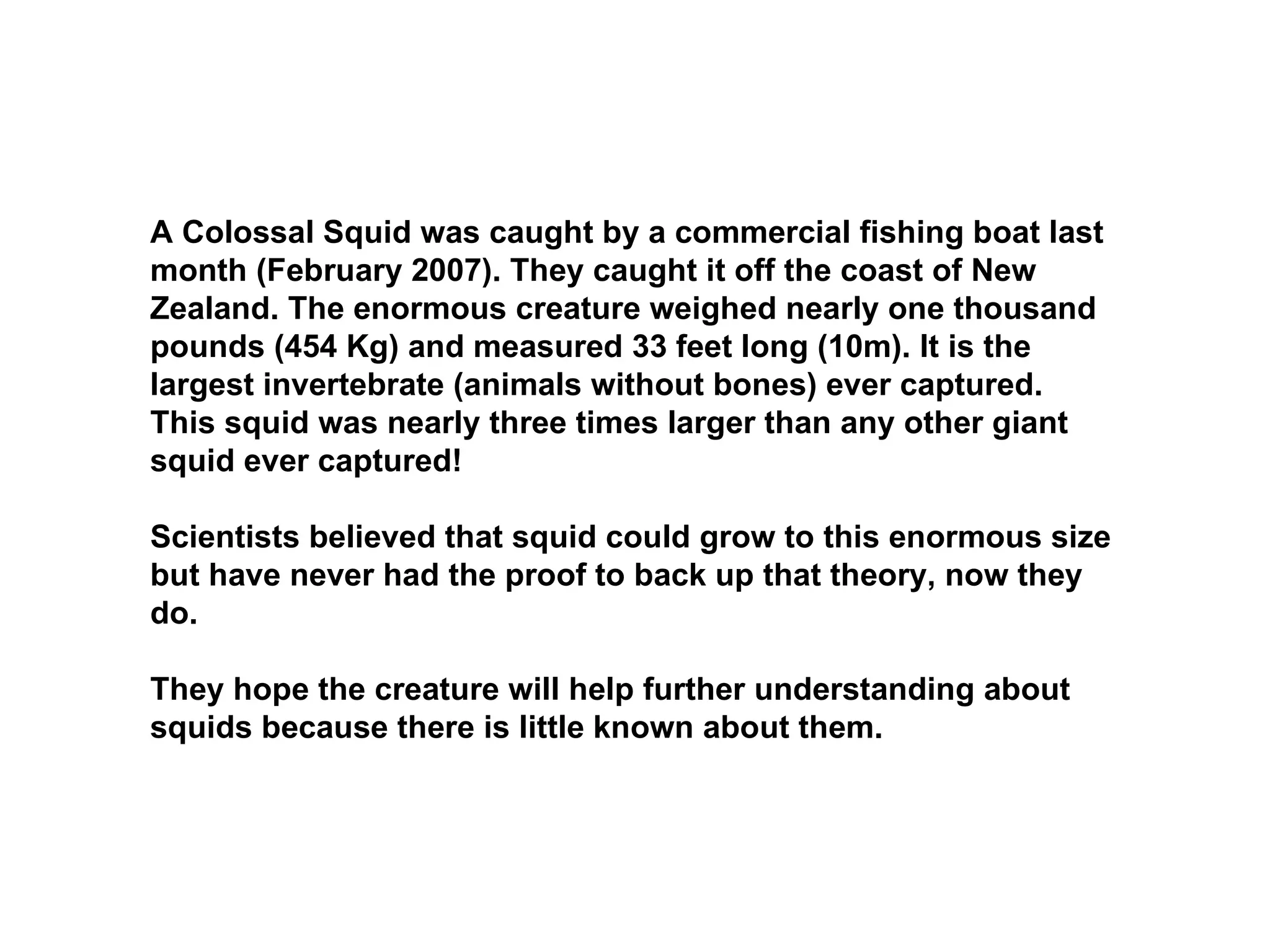 Largest Colossal Squid Ever | PPT