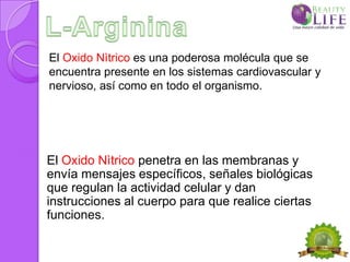 El Oxido Nìtrico es una poderosa molécula que se
encuentra presente en los sistemas cardiovascular y
nervioso, así como en todo el organismo.




El Oxido Nìtrico penetra en las membranas y
envía mensajes específicos, señales biológicas
que regulan la actividad celular y dan
instrucciones al cuerpo para que realice ciertas
funciones.
 