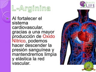   Al fortalecer el
    sistema
    cardiovascular,
    gracias a una mayor
    producción de Oxido
    Nìtrico, podemos
    hacer descender la
    presión sanguínea y
    mantendremos limpia
    y elástica la red
    vascular.
 