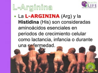    La L-ARGININA (Arg) y la
    Histidina (His) son consideradas
    aminoácidos esenciales en
    periodos de crecimiento celular
    como lactancia, infancia o durante
    una enfermedad.
 