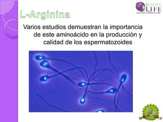 Varios estudios demuestran la importancia
    de este aminoácido en la producción y
       calidad de los espermatozoides
 