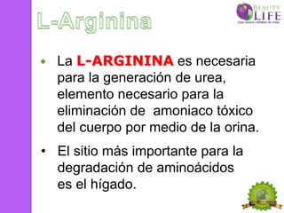    La L-ARGININA es necesaria
    para la generación de urea,
    elemento necesario para la
    eliminación de amoniaco tóxico
    del cuerpo por medio de la orina.
• El sitio más importante para la
  degradación de aminoácidos
  es el hígado.
 