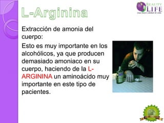 Extracción de amonia del
cuerpo:
Esto es muy importante en los
alcohólicos, ya que producen
demasiado amoniaco en su
cuerpo, haciendo de la L-
ARGININA un aminoácido muy
importante en este tipo de
pacientes.
 