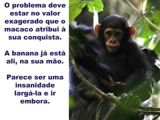 O problema deve estar no valor exagerado que o macaco atribui à sua conquista. A banana já está ali, na sua mão. Parece ser uma insanidade largá-la e ir embora. 