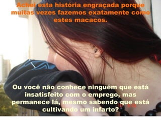 Achei esta história engraçada porque muitas vezes fazemos exatamente como estes macacos. Ou você não conhece ninguém que está insatisfeito com o emprego, mas permanece lá, mesmo sabendo que está cultivando um infarto? 