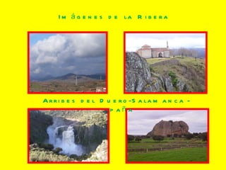 Imágenes  de  la  Ribera Arribes  del  Duero-Salamanca - España 