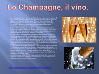 Lo Champagne deve le sue qualità e la sua fama a un insieme di
condizioni ineguagliabili: zone di produzione (la Montagne de
Reims, la Vallée de la Marne, la Cote de Blancs, la Cote de
Sèzanne, Bar-sur-Aube), natura del suolo, vitigni di qualità,
metodi di coltivazione e di produzione meticolosamente
conformi a una tradizione millenaria.
Il clima della Champagne è spesso critico per la maturazione
delle uve: pioggia, umidità, gelate invernali e muffa sono rischi
ricorrenti e per questo motivo le viti vengono lasciate basse in
modo da sfruttare il caldo riflesso dalla terra.
Il suolo della Champagne è composto da sedimenti di gesso e
questo costringe la vite ad affondare le sue radici in profondità
alla ricerca di acqua. Il gesso è anche molto poroso e quindi è
capace di trattenere molta acqua assicurando quindi alla vite un
buon mantenimento, tuttavia non offre le migliori condizioni
vegetative e fertili. Come è noto la vite è capace di dare migliori
risultati proprio in condizioni difficili.
Le uve coltivate nella Champagne e con le quali si può produrre
il celebre vino sono: lo Chardonnay (uva bianca) carattestico per
finezza ed eleganza, il Pinot Noir (uva nera) caratteristico per la
struttura e gli aromi e il Pinot Meunier (uva nera) a cui si
riconosce il merito di aumentare la ricchezza e la complessità
aromatica di alcuni frutti.
In Champagne oltre 15.000 vigneron coltivano 33.344 ettari di
vigneto, mentre un centinaio di maison (le Grandes Marques)
possiedono poco più di 4.000 ettari.
https://www.youtube.com/watch?v=kC8DCiwZbfE
 