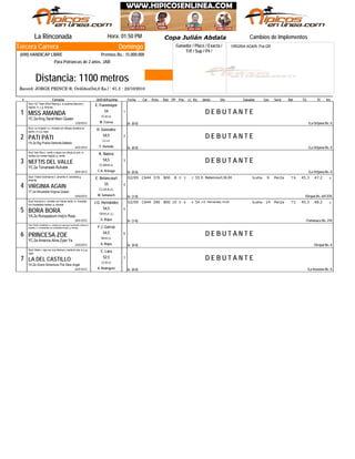 Copa "Julián Abdala" (L)
Domingo
Jinete
VIRGINIA AGAIN: Pus.GR
La Rinconada Hora: 01:50 PM
Record: JORGE PRINCE-R. Ordóñez(54,0 Ks.) - 61.3 - 23/10/2010
Distancia: 1100 metros
Ganador / Place / Exacta /
Trif / Sup / P4 /
Tercera Carrera
(690) HANDICAP LIBRE Premios Bs.: 15.000.000
Para Potrancas de 2 años. JAB
# Ejemplar Jin/Ent/Kgs/imp CarFecha Dist PPPeso TGPos SerieDiv.Ll. Kg Ganador RatCps TE Ins
Cambios de Implementos
D E B U T A N T E
YC.2a King Seraf-Maní Queen
1
De (0-0)12/02/2015
MISS AMANDA
/La Orlyana Bs. 0
Stud: GC Team Work Racing-c. a cuadros blancos y
negros; m. y g. blancas
1
M. Correa
CC.M.LA.
54
E. Fuenmayor
D E B U T A N T E
YA.2a Big Prairie-Señorita Ballado
2
De (0-0)24/01/2015
PATI PATI
/La Orlyana Bs. 0
Stud: La Invasión I-c. morada con dibujos dorados en
pecho; m y g. rojas
2
Y. Hurtado
CC.LA.
54,5
H. González
D E B U T A N T E
YC.2a Tomahawk-Rufvalle
3
De (0-0)20/01/2015
NEFTIS DEL VALLE
/La Orlyana Bs. 0
Stud: San Ros-c. verde y negra con dibujo en p/e; m.
verdes con motas negras; g. verde
3
C.A. Arteaga
CC.BB.M.LA.
54,5
K. Natera
C64402/09 370 800 8 30 3 6E. Betancourt,30,00 Scatha55 9 Per2a 79 45.3 47.2
YT.2a Winstrella-Virginia Queen
4
De (1-0)04/04/2015
VIRGINIA AGAIN
/Oropal Bs. 647.070
Stud: Yellow Submarine-c. amarilla m. amarillas g.
amarilla
4
M. Salswach
CC.GR.M.LA.
55
E. Betancourt
C64402/09 390 800 10 60 6 6J.G. Hernández,15,00 Scatha54 14 Per2a 75 45.3 48.2
YA.2a Runspastum-Indy's Rose
5
De (1-0)30/01/2015
BORA BORA
/Tamanaco Bs. 210
Stud: Karnavic-c. morada con franja verde; m. moradas
con brazaletes verdes; g. morada
5
G. Rojas
GR.M.LA. (L)
54,5
J.G. Hernández
D E B U T A N T E
YC.2a America Alive-Zyan Ya
6
De (0-0)22/02/2015
PRINCESA ZOE
/Oropal Bs. 0
Stud: Pacific-Zoe&Asdru-c. naranja con raya azul horizontal y letras en
espalda; m. anaranjadas con brazaletes azules; g. naranja
6
A. Rojas
BB.M.LA.
54,5
F.J. García
D E B U T A N T E
YA.2a Grand Adventure-The Slew Angel
7
De (0-0)03/01/2015
LA DEL CASTILLO
/La Invasión Bs. 0
Stud: Iñaki-c. roja con cruz blanca y verde en p/e; m y g.
rojas
7
A. Rodríguez
CC.M.LA.
52,5
C. Lara
Copa Julián Abdala
 
