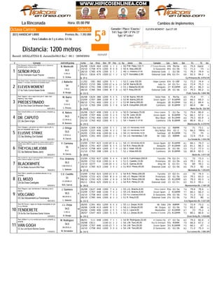 5ª
Sábado
Jinete
ELEVEN MOMENT: Quit.OT.GR
La Rinconada Hora: 05:00 PM
Record: ASIALATINA-E. Jaramillo(56,0 Ks.) - 68.1 - 28/08/2004
Distancia: 1200 metros
Ganador / Place / Exacta /
Trif / Sup / DP / 3ª P4 / 5ª
5y6 / 6ª Loto /
Octava Carrera
(831) HANDICAP LIBRE Premios Bs.: 7.392.000
Para Caballos de 5 y 6 años. G1-56
# Ejemplar Jin/Ent/Kgs/imp CarFecha Dist PPPeso TGPos SerieDiv.Ll. Kg Ganador RatCps TE Ins
Cambios de Implementos
C62426/08 464 1200 1 11 3 7P.M. Páez,122,11 2ºTrezury Benzuty50 4¾ Per5a 65 75.4 Ganó
C75814/10 473 1200 9 50 8 13A. Siso,200,00 El Sotavento50 8¼ G1-56 73 71.2 73
C78528/10 476 1300 5 21 1 10J.L.Villalobos,27,50 Debonair Gold49 1 G1-56 75 79.3 79.4
C81605/11 475 1500 12 41 2 9F. González,2,60 Debonair Gold52 8¾ G1-5+ 68 92.3 94.2CA.5a Champlain-Super Popular
1
De (9-1)17/04/2012
SEÑOR POLO
/La Primavera Bs. 8.976.570
Stud: Mosquera-c. blanca con letras ABRS en p/e; m. blancas con
brazaletes azules; g. blanca y azul
1
E. Ochoa
V.GR.LA.
54,5
B. Monticelli
C8111/02 382 1200 5 31 1 9C. Lara,102,00 Dopo Lavoro52 6¼ G-1NF 70 73.3 74.4
C15305/03 386 1200 12 106 6 13M. Ibarra,90,00 Julio Ce54 14 G1-5+ 64 72.4 75.3
C74108/10 398 1300 10 91 3 10J. Baliache,40,00 Amiguito53 27 R10MM 49 81.1 86.3
C78528/10 394 1300 8 107 8 10F. Aray,200,00 Debonair Gold50 29 G1-56 53 79.3 85.2CT.5a Trafic Control-Sweet Smile
2
De (12-1)17/05/2012
ELEVEN MOMENT
/Trafic Farms Bs. 4.894.780
Stud: Eleven Times-c. mitad blanca y fucsia vertical con raya y dibujo en
espalda; m. una fucsia y otra blanca con brazaletes negros
2
A. Araujo
V.M.LA.
54
J. Baliache
C62426/08 386 1200 5 34 5 7M. Ibarra,160,00 Señor Polo53 6 Per5a 60 75.4 77
C70723/09 389 1100 4 91 9 13M. Ibarra,200,00 Green Spam53 17 R16MM 65 66.1 69.3
C74108/10 400 1300 2 82 7 10M. Ibarra,200,00 Amiguito53 18 R10MM 56 81.1 84.4
C76521/10 394 1300 5 87 8 9B. Estupiñán,200,00 Cantinero54 16 R18MM 57 80.4 84CZ.5a One Great Cat-Wrexham Dream
3
De (16-0)04/01/2012
PREDESTINADO
/Norte Sur Bs. 526.184
Stud: Gagos-c. rojo y negro horiz p/e m. rojas, braz.
negros g. roja y negra
3
L. Peraza
CC.M.LA.
53
M. Ibarra
C62726/08 408 1300 1 60 0 11D. Carrasco,70,00 Prince Gabriel50 5 G1-5a 70 79.4 80.4
C70723/09 406 1100 3 73 5 13W. León,35,00 Green Spam52 6 R16MM 74 66.1 67.2
C74208/10 400 1300 3 75 5 8A. Brito,70,00 Blue Black54 16 R12MM 64 79.3 82.4
C76521/10 402 1300 4 21 3 9J. Dugarte Jr.,27,50 Cantinero54 1¾ R18MM 68 80.4 81.1CC.5a Zann-Vopo
4
De (19-1)04/04/2012
DR. CAPUTO
/Montesano Bs. 8.370.910
Stud: Ema & Sofía-c y m. a rombos fucsia y morados; g.
fucsia
4
R. Romero
CC.GR.M.LA.
54,5
K. Natera
C30930/04 436 1200 5 21 1 12J.G. Hernández,18,00 The Iron Fish54 11 R8MM 70 71 73.1
TRFinC33714/05 446 1100 4 73 2 11J.G. Hernández,14,00 Rey Rafael54 9¼ G1-2 70 66.2
C35520/05 436 1200 10 53 6 12J.G. Hernández,16,00 Santiago54 10 R10MM 70 73 75
C39128/05 445 1200 13 102 1 12J.G. Hernández,7,00 Mr. Odol54 15 R8MM 66 72.4 75.4CC.6a Striding Out-Gioliett
5
De (21-1)02/01/2011
ELUSIVE STRIKE
/La Giralda Bs. 2.434.238
Stud: Haragar-c. gris plomo con letra H roja en p/e; m.
gris con brazaletes rojos: g. gris
5
H. García
V.GR.M.LA.
53,5
J. Ortega
C70723/09 423 1100 10 110 6 13J.G. Hernández,90,00 Green Spam54 22 R16MM 61 66.1 70.3
C74108/10 407 1300 6 103 5 10R.A. Pérez,85,00 Amiguito54 27 R10MM 49 81.1 86.3
C75814/10 403 1200 2 127 9 13J. Vidal,100,00 El Sotavento50 31 G1-56 54 71.2 77.3
C76521/10 398 1300 2 75 5 9J. Vidal,200,00 Cantinero52 14 R18MM 58 80.4 83.3CC.5a National News-Janiz
6
De (20-0)06/02/2012
THEYCALLMEJOBB
/Belén Bs. 2.017.120
Stud: Jobb Racing Stable-c. naranja con rombos verdes en pecho y
espalda, letras JOBB en espalda; m. naranja con puños verdes; g.
naranja
6
H. García
M.LA.
55
Y. Carmona
C70223/09 427 1200 5 44 4 11E. Fuenmayor,200,00 Turcotte54 7¾ G2-3+ 73 72 73.3
C72230/09 416 1300 11 54 5 13C. Castillo,12,50 Pretoriano51 10 G1-56 69 79.1 81.1
V27713/10 1100 14 33 2 10E. García,30,00 King Oil52 6 G1-5+ 78 69 70.1
C78528/10 423 1300 3 69 2 10M.A. Pérez,45,00 Debonair Gold51 12 G1-56 66 79.3 82CC.5a States Account-Wild Pass
7
De (27-2)16/05/2012
BLACKWHITE
/Montalbán Bs. 7.255.870
Stud: Los Del 23-c. roja con rayas encontradas, estrella blanca en
pecho y letras en espalda; m y g. azules
7
L. Valerón
V.BB.GR.M.LA.
55,5
Fco. Urdaneta
C70223/09 423 1200 13 80 0 11R.A. Pérez,200,00 Turcotte54 13 G2-3+ 69 72 74.3
C72230/09 421 1300 8 100 0 13J.C. Reyes,135,00 Pretoriano49 22 G1-56 59 79.1 83.3
C74208/10 425 1300 2 68 8 8R.A. Pérez,200,00 Blue Black54 15 R12MM 65 79.3 82.3
C81605/11 425 1500 11 64 3 9R.A. Pérez,51,00 Debonair Gold54 13 G1-5+ 65 92.3 95.1CA.5a Draw-Castígala
8
De (30-2)03/02/2012
EL MOZO
/Buenaventura Bs. 2.169.120
Stud: Rahi-c. amarilla con estrellas blancas; m y g.
amarillas
8
M.A. García
CC.GR.BB.LA.
53
C.E. Castillo
C62726/08 448 1300 7 34 4 11J.G. Bracho,8,00 Prince Gabriel55 Pzo G1-5a 74 79.4 79.4
C70723/09 448 1100 7 24 2 13J.G. Bracho,8,00 Green Spam55 2 R16MM 77 66.1 66.3
C75814/10 443 1200 7 33 2 13Fco. Urdaneta,2000,00 El Sotavento55 4¾ G1-56 75 71.2 72.2
C78528/10 444 1300 6 32 3 10K. Aray,9,00 Debonair Gold51 2¼ G1-56 74 79.3 80CC.5a Inducement-La Fenómena
9
De (12-1)18/01/2012
VOLCANO
/Los Aguacates Bs. 5.527.320
Stud: Elegua-c. azul, est blancas m. blancas g. azul y
blanca
9
L. Valerón
BB.GR.M.LA.
55,5
J. Quintero
C39128/05 401 1200 6 24 4 12J.J. Zerpa,18,00 Mr. Odol55 2¾ R8MM 75 72.4 73.2
C43818/06 413 1400 9 61 1 13J.J. Zerpa,20,00 Mr. Elegua54 12 G1-56 70 85.3 88
C44924/06 406 1200 2 35 5 8C. Lara,8,00 Blackwhite52 12 R10MM 67 73 75.2
C54728/07 403 1300 5 33 5 10J.J. Zerpa,30,00 Joselino El Grande54 2½ R10MM 73 80.1 80.4CA.5a My Own Business-Santa Victoria
10
De (19-1)15/03/2012
TENDERETE
/Gran Derby Bs. 3.436.608
Stud: Mi Churry-c. negra con franjas anaranjadas en p/e;
m y g. blancas
10
A. Araujo
V.GR.LA.
54,5
J.J. Zerpa
C1108/01 448 1300 7 62 1 9M. Rodríguez,22,00 It Comes Fly54 17 G1-5a 62 79.2 82.4
C61119/08 1100 11 22 2 9J.M. Toro,40,00 Rey De Antioquia54 5¼ R5MM 79 66.2 67.2
C70723/09 446 1100 13 47 3 13J.M. Toro,20,00 Green Spam54 3½ R16MM 75 66.1 67
C75814/10 442 1200 3 90 0 13J.M. Toro,80,00 El Sotavento54 21 G1-56 62 71.2 75.3CC.5a Lord Byron-Bonnie Carolin
11
De (14-1)11/03/2012
VAN GOGH
/La Leonera Bs. 3.584.204
Stud: Artillero I-c y m a rombos azul oscuro y amarillo; g.
amarilla
11
M. Hernández
BB.GR.M.LA.
54,5
M. Rodríguez
11/11/17
 