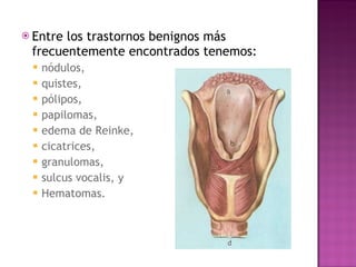 Entre los trastornos benignos más frecuentemente encontrados tenemos: nódulos,  quistes,  pólipos,  papilomas,  edema de Reinke,  cicatrices,  granulomas,  sulcus vocalis, y  Hematomas. 