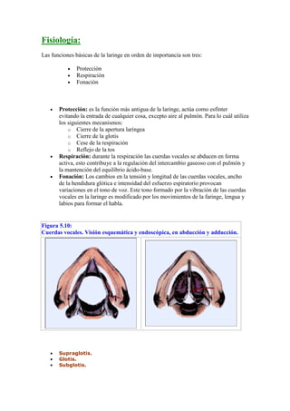 Fisiología:
Las funciones básicas de la laringe en orden de importancia son tres:

           •   Protección
           •   Respiración
           •   Fonación



   •   Protección: es la función más antigua de la laringe, actúa como esfínter
       evitando la entrada de cualquier cosa, excepto aire al pulmón. Para lo cuál utiliza
       los siguientes mecanismos:
           o Cierre de la apertura laríngea
           o Cierre de la glotis
           o Cese de la respiración
           o Reflejo de la tos
   •   Respiración: durante la respiración las cuerdas vocales se abducen en forma
       activa, esto contribuye a la regulación del intercambio gaseoso con el pulmón y
       la mantención del equilibrio ácido-base.
   •   Fonación: Los cambios en la tensión y longitud de las cuerdas vocales, ancho
       de la hendidura glótica e intensidad del esfuerzo espiratorio provocan
       variaciones en el tono de voz. Este tono formado por la vibración de las cuerdas
       vocales en la laringe es modificado por los movimientos de la faringe, lengua y
       labios para formar el habla.


Figura 5.10:
Cuerdas vocales. Visión esquemática y endoscópica, en abducción y adducción.




   •   Supraglotis.
   •   Glotis.
   •   Subglotis.
 