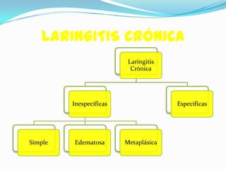 LARINGITIS CRÓNICA
                          Laringitis
                           Crónica




         Inespecíficas                 Específicas




Simple   Edematosa       Metaplásica
 