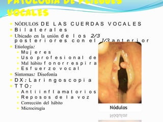 PATOLOGÍA DE PLIEGUES
VOCALES
 NÓDULOS D E L A S C U E R D A S V O C A L E S
 Bi l a t e r a l e s
 Ubicado en la unión d e l o s 2/3
  p o s t e r i o r e s       c o n e l    1/3 a n t e r i o r
 Etiología:
      Mu    j e r e s
      Us    o p r o f e s i o n a l d e l a v o z
      Mal   hábito f o n o r r e s p i r a t o r i o
      Es    f u e r z o v o c a l
 Síntomas: Disofonía
 DX: L a r i n g o s c o p i a
 T T O:
    A n t i i n f l a ma t o r i o s
    Re p o s o s d e l a v o z
    Corrección del hábito
    Microcirugía
 