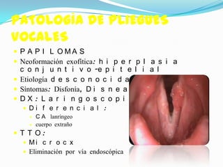 PATOLOGÍA DE PLIEGUES
VOCALES
 P A P I L O MA S
 Neoformación exofítica: h i p e r p l a s i a
  c o n j u n t i v o -e p i t e l i a l
 Etiología d e s c o n o c i d a
 Síntomas: Disfonía, D i s n e a
 DX: L a r i n g o s c o p i a i n d i r e c t a
    Di f e r e n c i a l :
      C A lanríngeo
      cuerpo extraño

 T T O:
    Mi c r o c x
    Eliminación por vía endoscópica
 