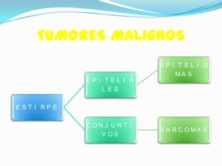 TUMORES MALIGNOS
                          EPI TEL I O
                             MA S
            EPI TEL I A
               L ES

EST I RPE

            CONJ UNT I
                          S A R C O MA S
               V OS
 