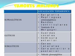 TUMORES MALIGNOS
                LOCALIZACIÓN TOPOGRÁFICA
                • Ep i g l o t i s
                • Re p l i e g u e s
SUPRAGLÓTICOS     aritenoepiglóticos
                • Ba n d a s
                  v e n t r i c u l a r e s
                • Ventrículo d e
                  Mo r g a g n i
                • Cu    e r     d   a   s
GLÓTICOS          v o   c a     l   e   s
                • Co    mi      s   u   r a
                  a n   t e     r   i   o r
                • Ca    r   a   s
SUBGLÓTICOS       l a   t   e   r a l e s
                • Ca    r   a    a n t e r i o r   o
                  p o   s   t   e r i o r
                • Valécula glosoepiglótica
 
