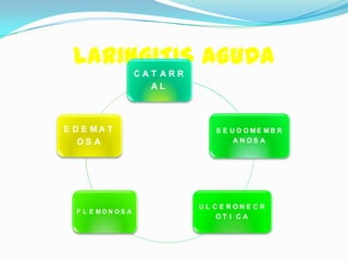 LARINGITIS AGUDA
                     CAT ARR
                       AL



E D E MA T                         S E U D O ME MB R
   OS A                                 ANOS A




                               U L C E R ON E CR
  F L E MO N O S A
                                    OT I CA
 