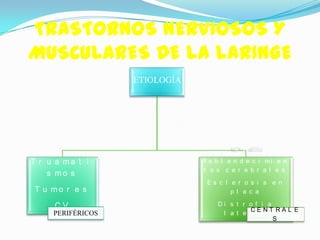 TRASTORNOS NERVIOSOS Y
MUSCULARES DE LA LARINGE
                   ETIOLOGÍA




                                       ACV, sífilis

T r u a ma t i                 R e b l a n d e c i mi e n
                               t o s c e r e b r a l e s
    s mo s
                                Es c l e r o s i s e n
T u mo r e s                           p l a c a

     CV                            Di s t r o f i a
                                             CENT RAL E
     PERIFÉRICOS                    l a t e r a l
                                                    S
 