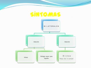 SÍNTOMAS
                         BI L AT ERAL ES




         Aducción                                Aducción




                    Disfagia mayor para        Di s n e a
Afonía
                          líquidos         Vo z b i t o n a l
 