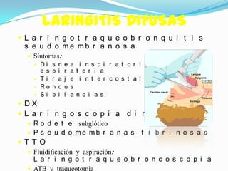 LARINGITIS DIFUSAS
L a r i n g o t r a q u e o b r o n q u i t i s
 s e u d o me mb r a n o s a
   Síntomas:
     Di s n    e   a    i n s p i r a t o r i a y
      e s p i   r   a   t o r i a
     T i r a   j   e    i n t e r c o s t a l
     Ro n c    u   s
     S i b i   l   a   n c i a s
 DX
L a r i n g o s c o p i a d i r e c t a
   R o d e t e subglótico
   P s e u d o me mb r a n a s f i b r i n o s a s
T T O
   Fluidificación y aspiración:
    L a r i n g o t r a q u e o b r o n c o s c o p i a
   ATB y traqueotomía
 