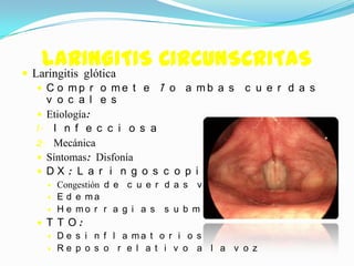 LARINGITIS CIRCUNSCRITAS
 Laringitis glótica
    C o mp r o me t e 1 o a mb a s c u e r d a s
     v o c a l e s
    Etiología:
  1. I n f e c c i o s a
  2. Mecánica
    Síntomas: Disfonía
    DX: L a r i n g o s c o p i a i n d i r e c t a :
       Congestión d e c u e r d a s v o c a l e s
       E d e ma
       H e mo r r a g i a s s u b mu c o s a s
   T T O:
     D e s i n f l a ma t o r i o s
     Re p o s o r e l a t i v o a l a v o z
 