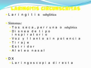 LARINGITIS CIRCUNSCRITAS
L a r i n g i t i s   subglótica

 Síntomas:
    T o s s e c a , p e r r u n a o subglótica
   Di s n e a d e t i p o
     i n s p i r a t o r i o
   Vo z y l l a n t o s i n p o t e n c i a
   T i r a j e
   Es t r i d o r
   Al e t e o n a s a l


DX
 L a r i n g o s c o p i a d i r e c t a
 
