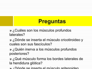 Preguntas
 ¿Cuáles son los músculos profundos
laterales?
 ¿Dónde se inserta el músculo cricotiroideo y
cuales son sus fascículos?
 ¿Quién inerva a los músculos profundos
posteriores?
 ¿Qué músculo forma los bordes laterales de

la hendidura glótica?
 