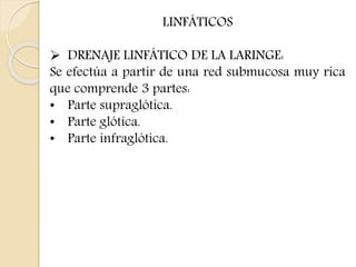 LINFÁTICOS 
 DRENAJE LINFÁTICO DE LA LARINGE: 
Se efectúa a partir de una red submucosa muy rica 
que comprende 3 partes: 
• Parte supraglótica. 
• Parte glótica. 
• Parte infraglótica. 
 