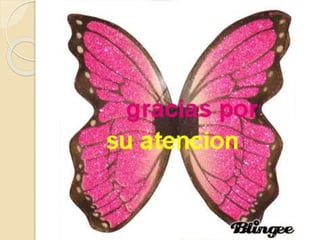 Anatomía de la laringe