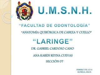 “ANATOMÍA QUIRÚRGICA DE CABEZA Y CUELLO” 
DR. GABRIEL CARDOSO CANO 
ANA KAREN REYNA CUEVAS 
SECCIÓN 07 
FEBRERO DEL 2014 
MORELIA, MICH. 
 