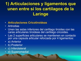 • Articulaciones Cricotiroideas
• Artrodias
• Unen las astas inferiores del cartilago tiroides con las
caras articulares tiroideas del cartilago cricoides.
• Las 2 superficies articulares se mantienen en contacto
por una capsula articular reforzada por 4 ligamentos:
• a) Anterior
• b) Posterior
• c) Inferolateral
• d) Superomedial
1) Articulaciones y ligamentos que
unen entre si los cartílagos de la
Laringe
 
