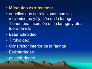 • Músculos extrínsecos:
• aquellos que se relacionan con los
movimientos y fijación de la laringe.
Tienen una inserción en la laringe y otra
fuera de ella.
• Esternotiroideo
• Tirohioideo
• Constrictor inferior de la faringe
• Estilofaríngeo
• palatofaríngeo
 