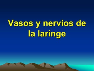 Vasos y nervios de
la laringe
 