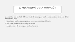EL MECANISMO DE LA FONACIÓN
La sonoridad es el resultado del movimiento de los pliegues vocales que se produce con el paso del aire
a través de la glotis.
• Los pliegues vocales se abren y cierran con un movimiento ondulatorio.
• Abducción: separación de los pliegues vocales.
• Aducción: cierre de los pliegues vocales al juntarse.
 