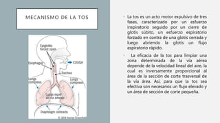 MECANISMO DE LA TOS • La tos es un acto motor expulsivo de tres
fases, caracterizado por un esfuerzo
inspiratorio seguido por un cierre de
glotis súbito, un esfuerzo espiratorio
forzado en contra de una glotis cerrada y
luego abriendo la glotis un flujo
espiratorio rápido.
• La eficacia de la tos para limpiar una
zona determinada de la vía aérea
depende de la velocidad lineal del aire, la
cual es inversamente proporcional al
área de la sección de corte trasversal de
la vía área. Así, para que la tos sea
efectiva son necesarios un flujo elevado y
un área de sección de corte pequeña.
 