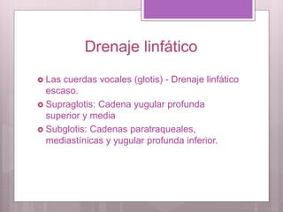 Drenaje linfático
 Las cuerdas vocales (glotis) - Drenaje linfático
escaso.
 Supraglotis: Cadena yugular profunda
superior y media
 Subglotis: Cadenas paratraqueales,
mediastínicas y yugular profunda inferior.
 