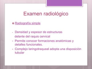 Examen radiológico
 Radiografía simple
- Densidad y espesor de estructuras
delante del raquis cervical
- Permite conocer formaciones anatómicas y
detalles funcionales.
- Complejo laringotraqueal adopta una disposición
tubular
 