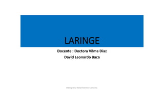 LARINGE
Docente : Doctora Vilma Díaz
David Leonardo Baca
Bibliografia: Rafael Ramírez Camacho.
 