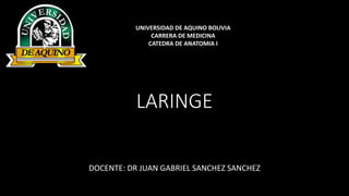 LARINGE
DOCENTE: DR JUAN GABRIEL SANCHEZ SANCHEZ
UNIVERSIDAD DE AQUINO BOLIVIA
CARRERA DE MEDICINA
CATEDRA DE ANATOMIA I
 